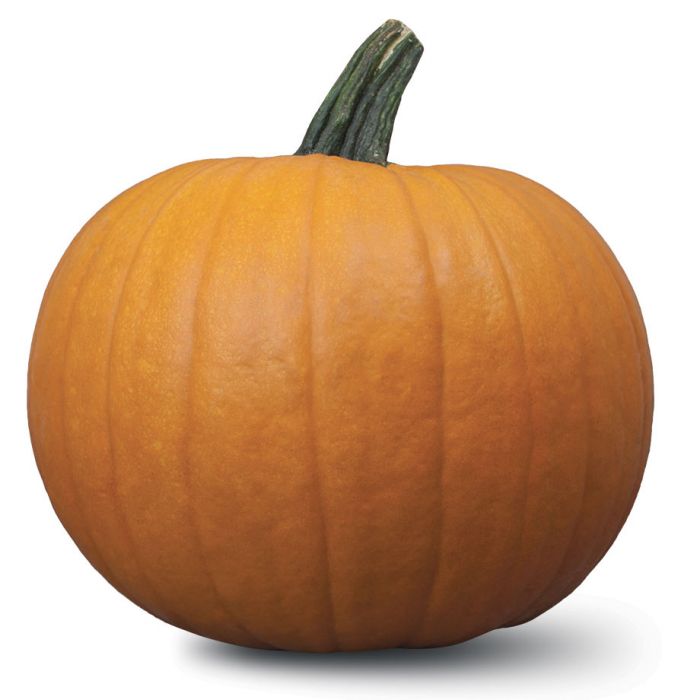 HomePageBannerImage
